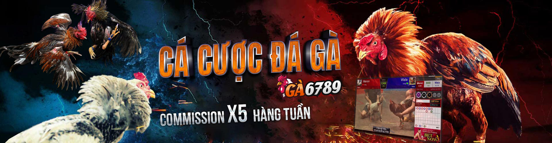 Ga6789 Meetings 🎖️ Link Vào Nhà Cái Đá Gà Thomo Campuchia 2025 9 da ga thomo ga6789